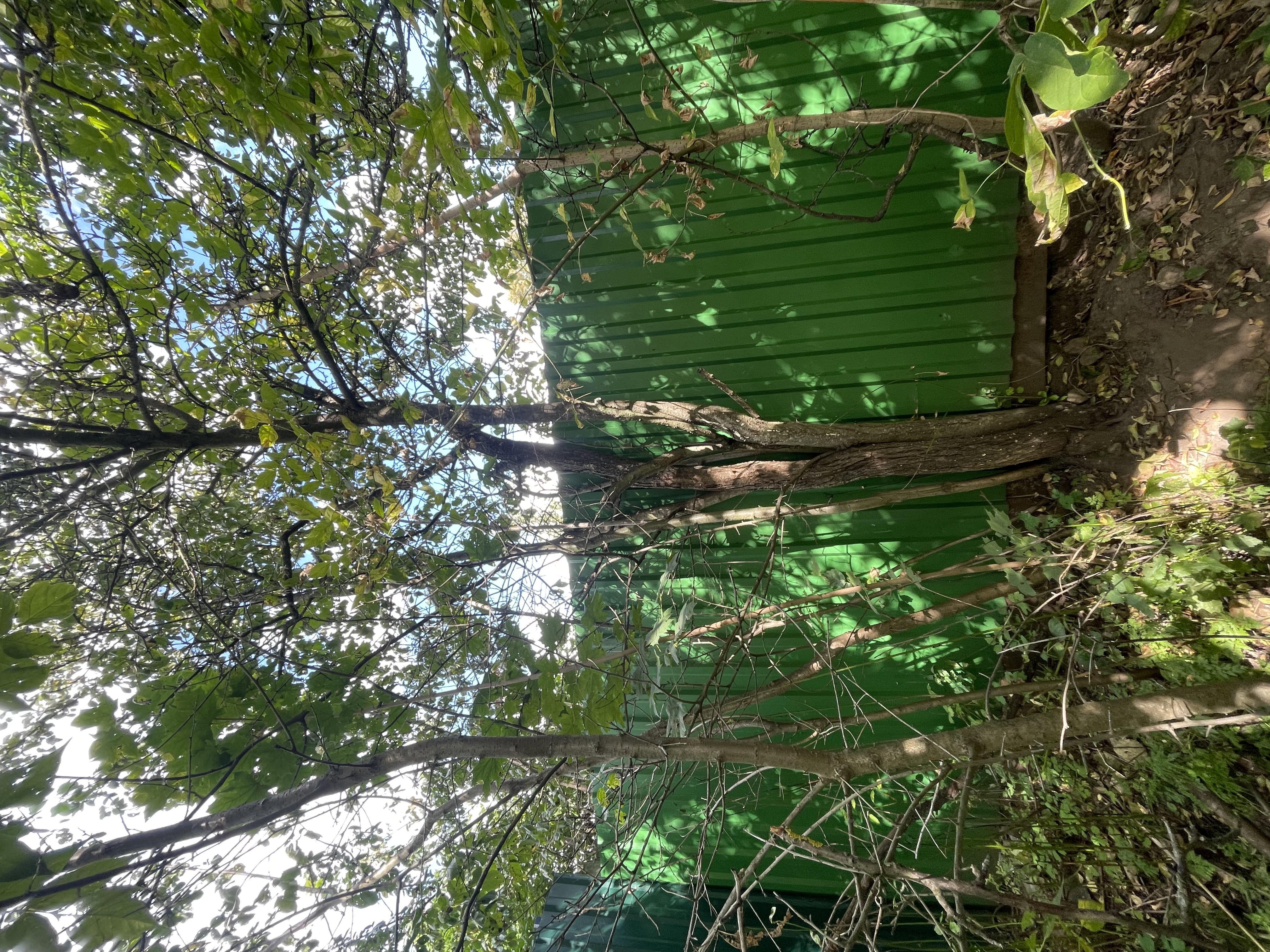IMG_4822.jpeg