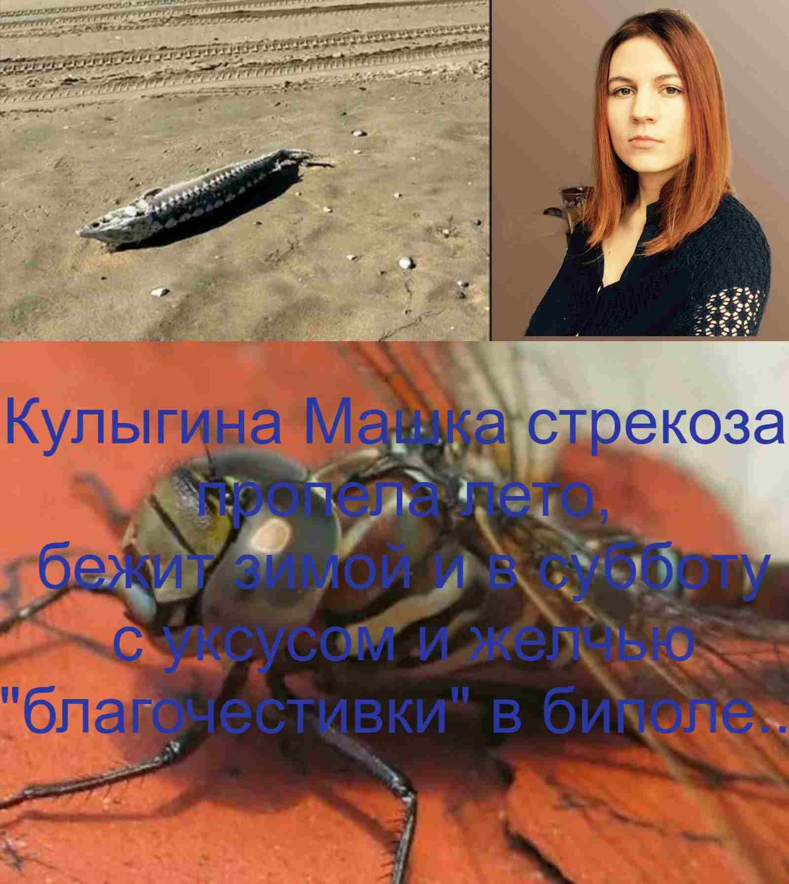 Кулыгина Машка стрекоза, лето пропела, бежит зимой и в субботу де благочестивкой с уксусом и желчью в биполе лжепоКаиния .jpg
